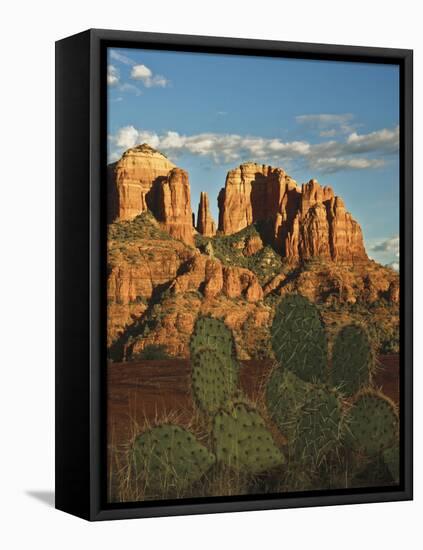 Cathedral Rock at Sunset from Secret Canyon, Sedona, Arizona, Usa-Michel Hersen-Framed Premier Image Canvas