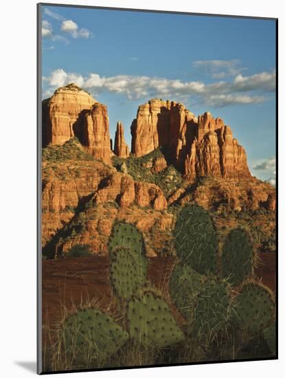 Cathedral Rock at Sunset from Secret Canyon, Sedona, Arizona, Usa-Michel Hersen-Mounted Photographic Print