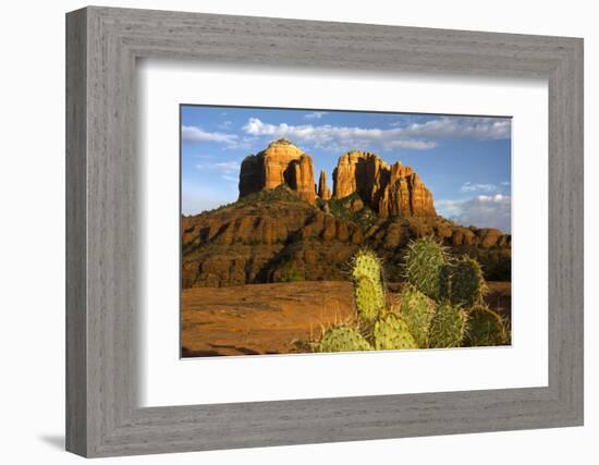 Cathedral Rock at Sunset, Prickly Pear Cactus, Sedona, Arizona, Usa-Michel Hersen-Framed Photographic Print