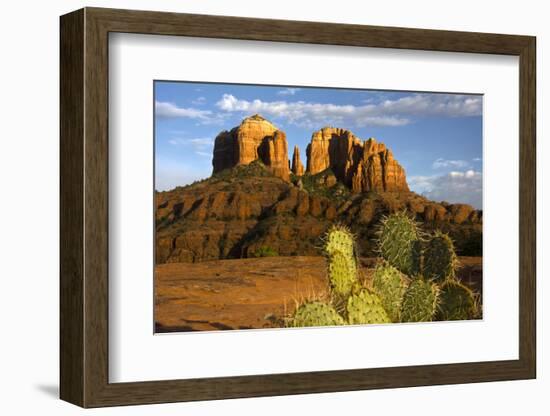 Cathedral Rock at Sunset, Prickly Pear Cactus, Sedona, Arizona, Usa-Michel Hersen-Framed Photographic Print