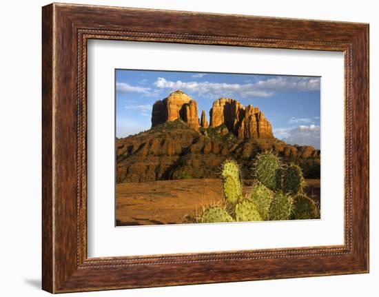Cathedral Rock at Sunset, Prickly Pear Cactus, Sedona, Arizona, Usa-Michel Hersen-Framed Photographic Print