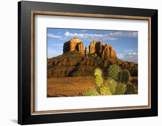 Cathedral Rock at Sunset, Prickly Pear Cactus, Sedona, Arizona, Usa-Michel Hersen-Framed Photographic Print