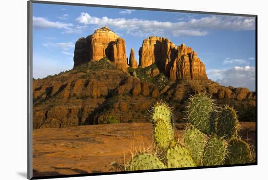 Cathedral Rock at Sunset, Prickly Pear Cactus, Sedona, Arizona, Usa-Michel Hersen-Mounted Photographic Print