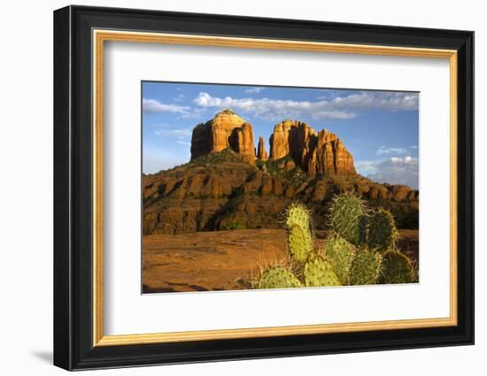 Cathedral Rock at Sunset, Prickly Pear Cactus, Sedona, Arizona, Usa-Michel Hersen-Framed Photographic Print