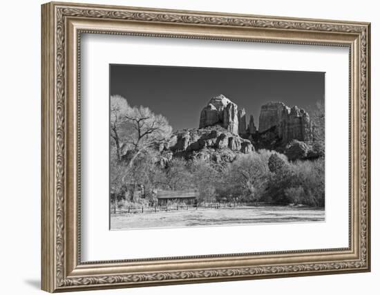 Cathedral Rock from Crescent Moon Ranch-desertsolitaire-Framed Photographic Print