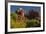 Cathedral Rock, Red Rock Crossing, Coconino Nf, Sedona, Arizona-Michel Hersen-Framed Photographic Print