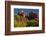 Cathedral Rock, Red Rock Crossing, Coconino Nf, Sedona, Arizona-Michel Hersen-Framed Photographic Print