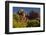 Cathedral Rock, Red Rock Crossing, Coconino Nf, Sedona, Arizona-Michel Hersen-Framed Photographic Print