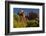 Cathedral Rock, Red Rock Crossing, Coconino Nf, Sedona, Arizona-Michel Hersen-Framed Photographic Print