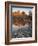 Cathedral Rock Reflected in Oak Creek, Crescent Moon Picnic Area, Coconino National Forest, Arizona-James Hager-Framed Photographic Print