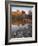 Cathedral Rock Reflected in Oak Creek, Crescent Moon Picnic Area, Coconino National Forest, Arizona-James Hager-Framed Photographic Print