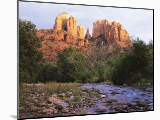Cathedral Rock, Sedona, Arizona, United States of America (U.S.A.), North America-Tony Gervis-Mounted Photographic Print