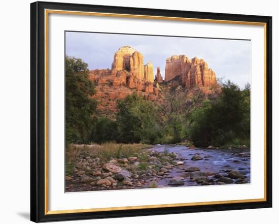 Cathedral Rock, Sedona, Arizona, United States of America (U.S.A.), North America-Tony Gervis-Framed Photographic Print