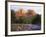 Cathedral Rock, Sedona, Arizona, United States of America (U.S.A.), North America-Tony Gervis-Framed Photographic Print