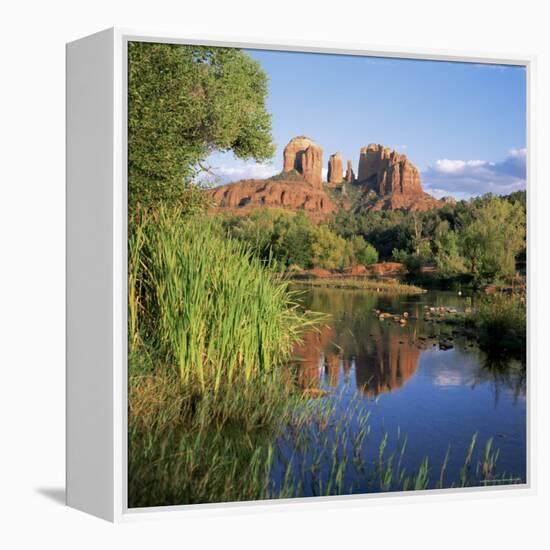 Cathedral Rock, Sedona, Arizona, United States of America (U.S.A.), North America-Tony Gervis-Framed Premier Image Canvas