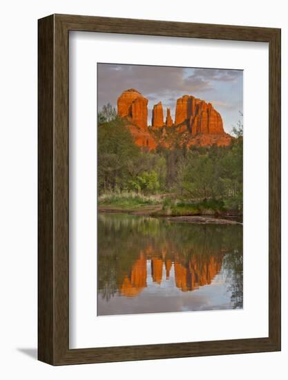 Cathedral Rock, Sunset, Red Rock Crossing, Sedona, Arizona, Usa-Michel Hersen-Framed Photographic Print