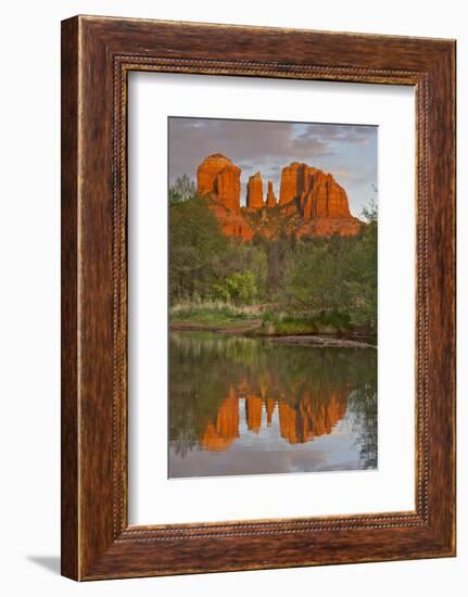 Cathedral Rock, Sunset, Red Rock Crossing, Sedona, Arizona, Usa-Michel Hersen-Framed Photographic Print