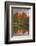 Cathedral Rock, Sunset, Red Rock Crossing, Sedona, Arizona, Usa-Michel Hersen-Framed Photographic Print