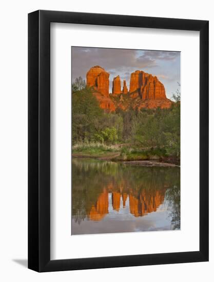 Cathedral Rock, Sunset, Red Rock Crossing, Sedona, Arizona, Usa-Michel Hersen-Framed Photographic Print