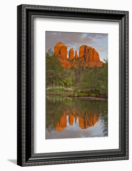 Cathedral Rock, Sunset, Red Rock Crossing, Sedona, Arizona, Usa-Michel Hersen-Framed Photographic Print