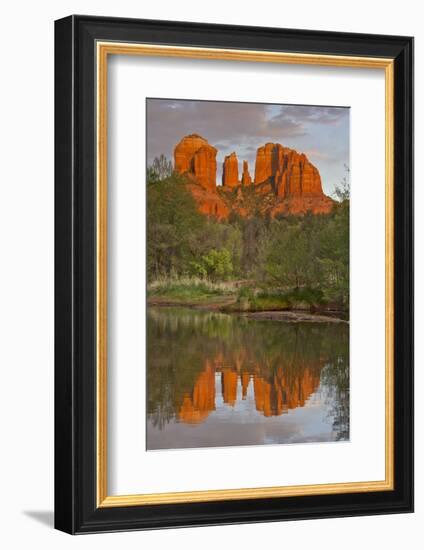 Cathedral Rock, Sunset, Red Rock Crossing, Sedona, Arizona, Usa-Michel Hersen-Framed Photographic Print