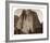 Cathedral Rock - Yosemite, California, 1861-Carleton Watkins-Framed Art Print