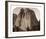 Cathedral Rock - Yosemite, California, 1861-Carleton Watkins-Framed Art Print