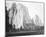 Cathedral Rock, Yosemite-Carleton E Watkins-Mounted Giclee Print