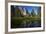 Cathedral Rocks and Pond in Yosemite Valley, Yosemite NP, California-David Wall-Framed Photographic Print