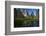 Cathedral Rocks and Pond in Yosemite Valley, Yosemite NP, California-David Wall-Framed Photographic Print