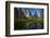 Cathedral Rocks and Pond in Yosemite Valley, Yosemite NP, California-David Wall-Framed Photographic Print