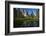 Cathedral Rocks and Pond in Yosemite Valley, Yosemite NP, California-David Wall-Framed Photographic Print