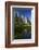 Cathedral Rocks Reflected in a Pond and Deer, Yosemite NP, California-David Wall-Framed Photographic Print