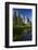 Cathedral Rocks Reflected in a Pond and Deer, Yosemite NP, California-David Wall-Framed Photographic Print