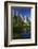 Cathedral Rocks Reflected in a Pond and Deer, Yosemite NP, California-David Wall-Framed Photographic Print