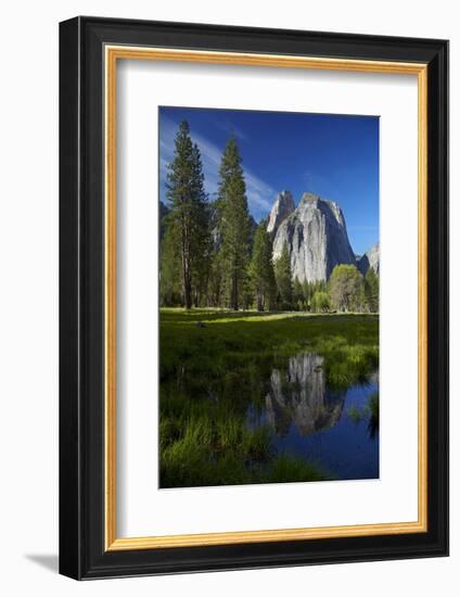 Cathedral Rocks Reflected in a Pond and Deer, Yosemite NP, California-David Wall-Framed Photographic Print