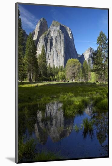 Cathedral Rocks Reflected in a Pond and Deer, Yosemite NP, California-David Wall-Mounted Photographic Print