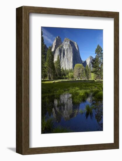 Cathedral Rocks Reflected in a Pond and Deer, Yosemite NP, California-David Wall-Framed Premium Photographic Print