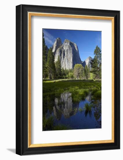 Cathedral Rocks Reflected in a Pond and Deer, Yosemite NP, California-David Wall-Framed Premium Photographic Print