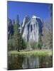 Cathedral Rocks Reflected in Water, California, USA-Roy Rainford-Mounted Photographic Print