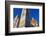 Cathedral Santa Maria del Fiore, Giotto Bell Tower, Tuscany, Italy-Nico Tondini-Framed Photographic Print