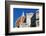 Cathedral Santa Maria del Fiore, Piazza del Duomo, Firenze, Italy-Nico Tondini-Framed Photographic Print