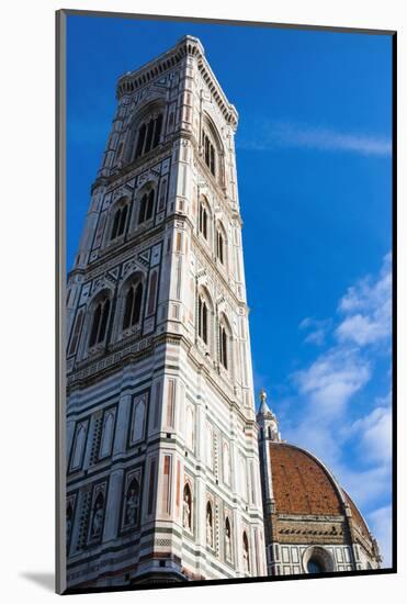 Cathedral Santa Maria del Fiore, Piazza del Duomo, Tuscany, Italy-Nico Tondini-Mounted Photographic Print