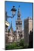 Cathedral, UNESCO World Heritage Site, Seville, Andalusia, Spain, Europe-Ethel Davies-Mounted Photographic Print
