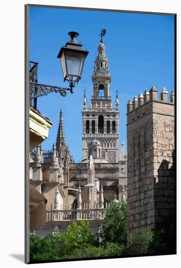 Cathedral, UNESCO World Heritage Site, Seville, Andalusia, Spain, Europe-Ethel Davies-Mounted Photographic Print