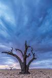 Powerful Skies-Catherina Unger-Giclee Print