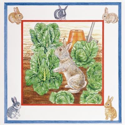 Cabbage patch rabbit sales