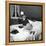Catherine Deneuve in 1960-DR-Framed Premier Image Canvas