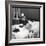 Catherine Deneuve in 1960-DR-Framed Photographic Print