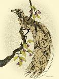 Greater Bird II-Catherine Kohnke-Art Print